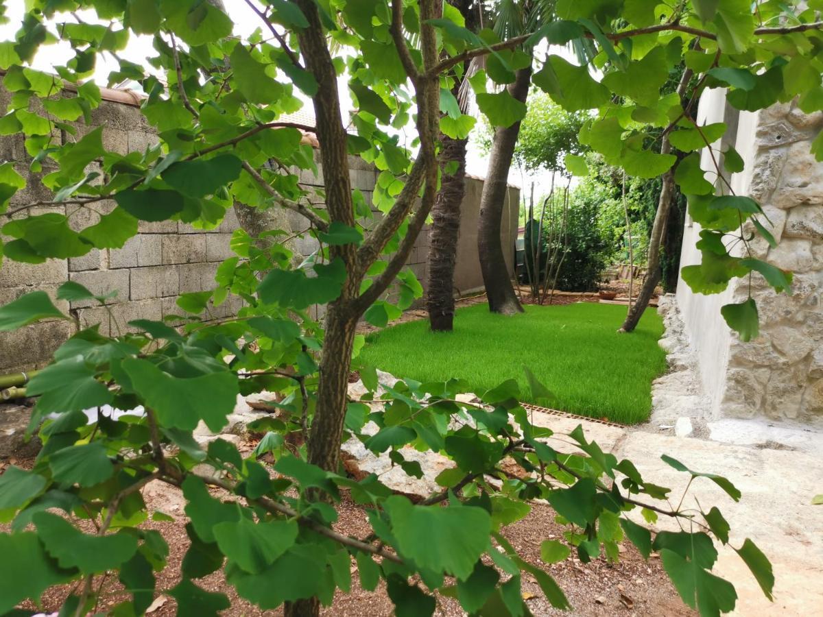 Ginko House * Opatija