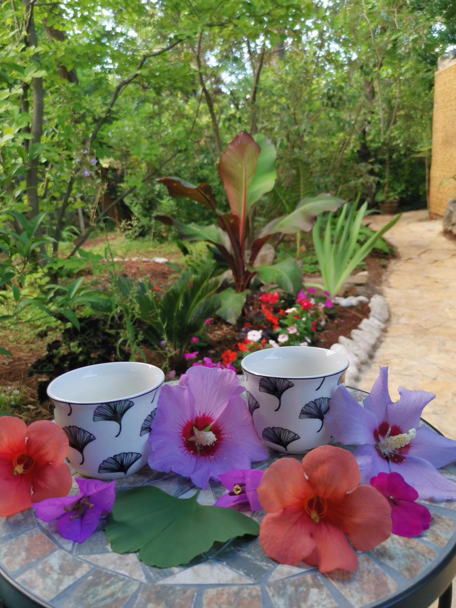 Ginko House Apartma *
